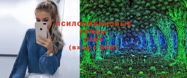ГАЛЛЮЦИНОГЕННЫЕ ГРИБЫ Киреевск