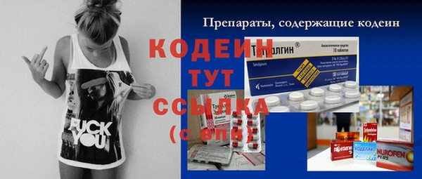 стаф Кинешма