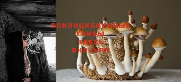 стаф Кинешма