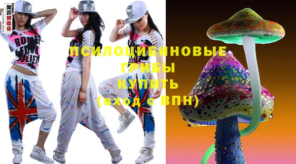 стаф Кинешма