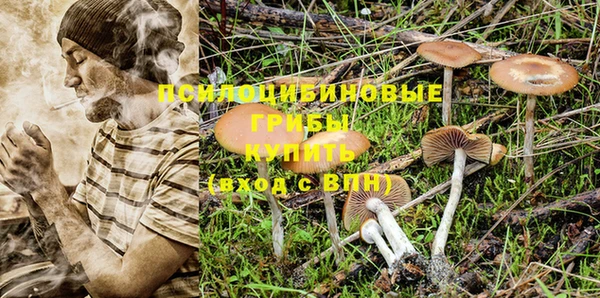 стаф Кинешма