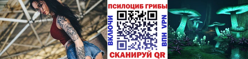 Галлюциногенные грибы MAGIC MUSHROOMS  Купить где  Богородицк 